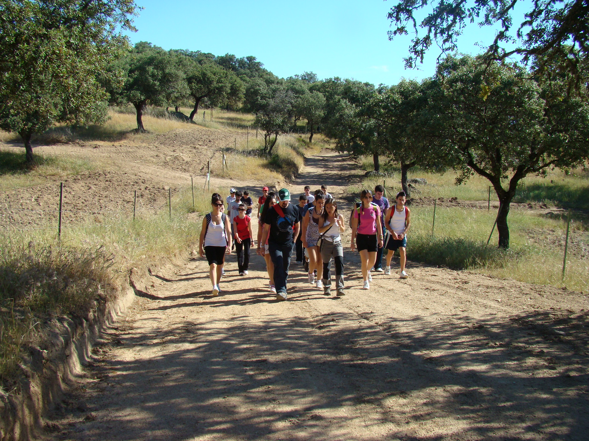 - Rutas de senderismo en Montgó: recomendaciones para explorar el entorno