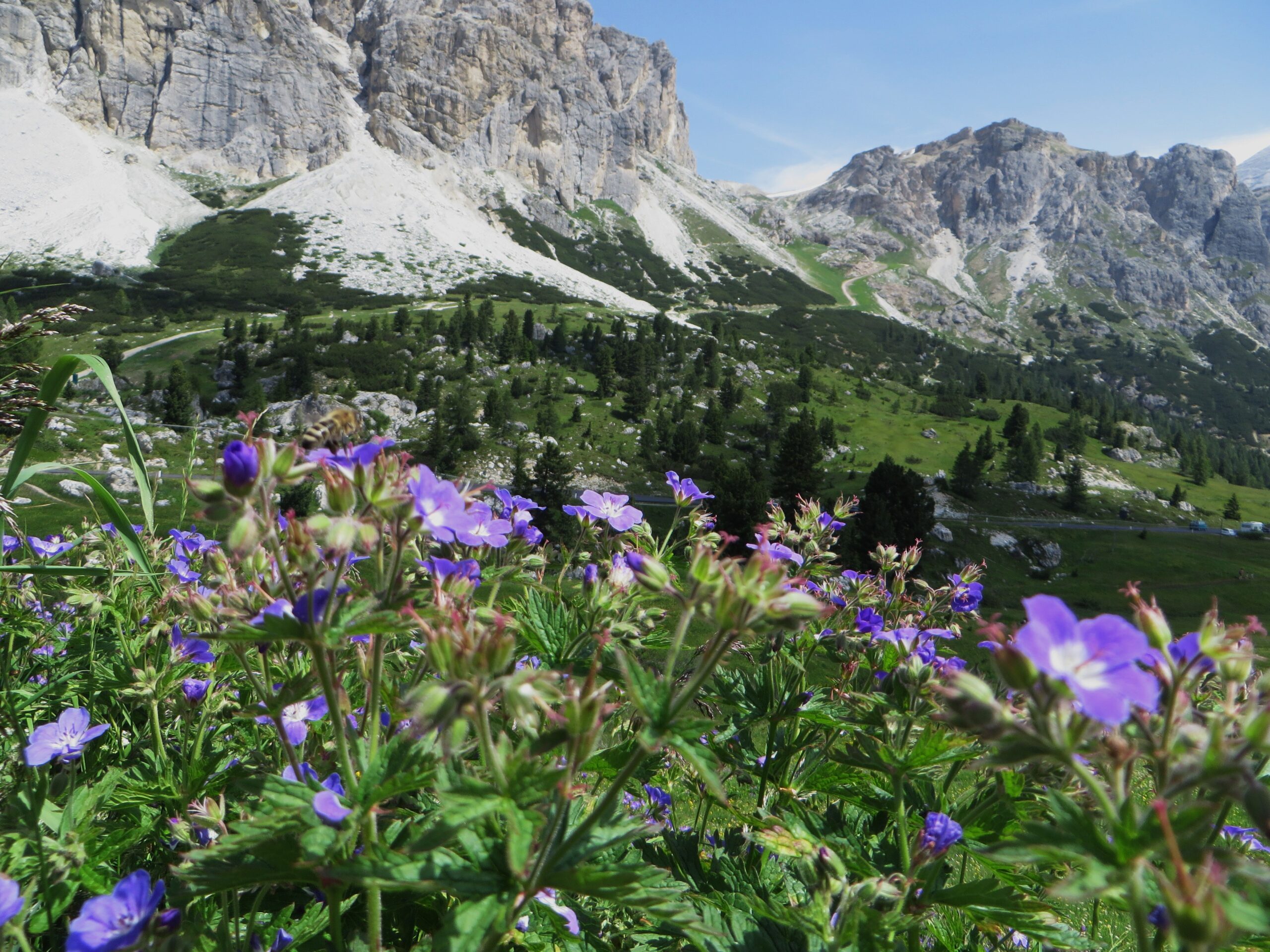 - Maravíllate ante la grandiosidad natural de La Puebla: un paraíso de montañas y valles en la Comunitat Valenciana