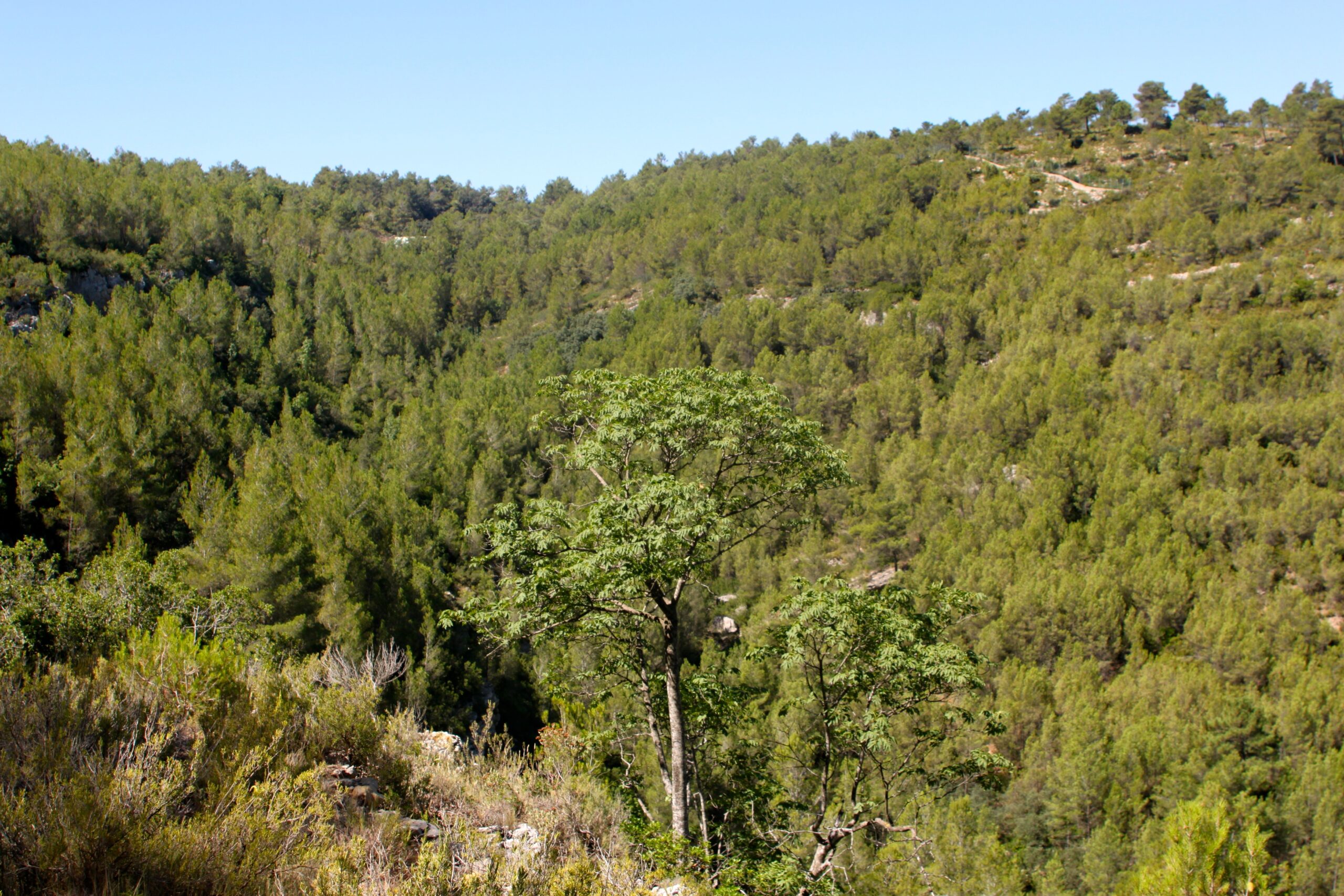 Senderismo en el Paraje del Abrullador: un recorrido imprescindible para los amantes del aire libre