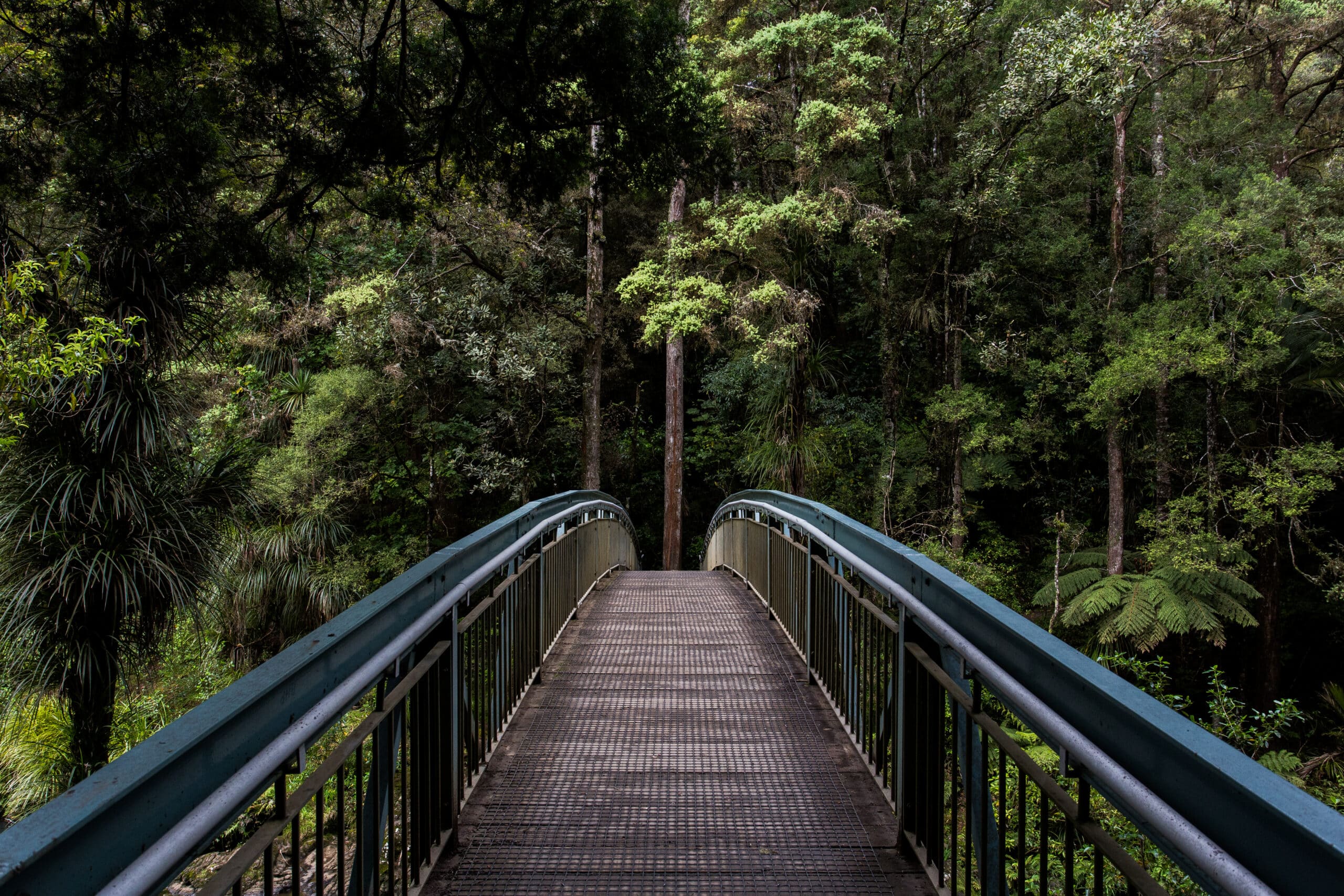 Descubre el encanto natural de El Parc de la Pinada en L'Eliana, Valencia