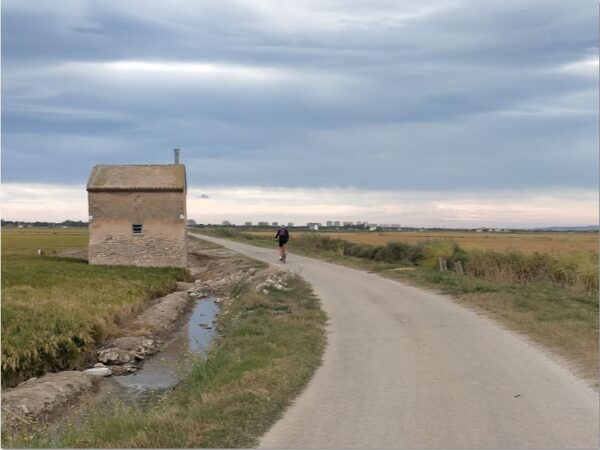 Vive La Albufera en bici - Bike 4Tours - Imagen 3