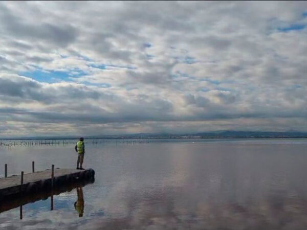 Vive La Albufera en bici - Bike 4Tours - Imagen 7