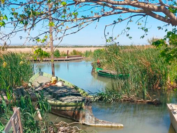 Vive La Albufera en bici - Bike 4Tours - Imagen 6