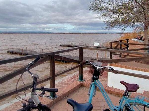 Vive La Albufera en bici - Bike 4Tours - Imagen 2