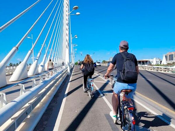 Vive La Albufera en bici - Bike 4Tours - Imagen 5