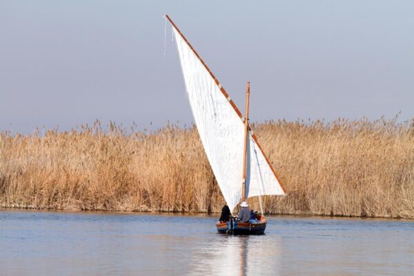 Descubre la Albufera: Paseo en Barca y Paella Valenciana