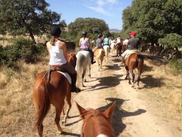 Paseo a caballo