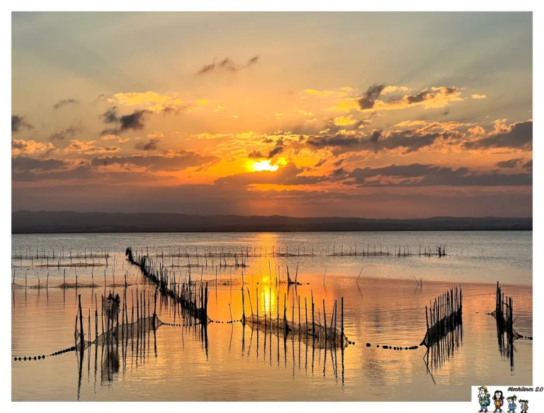 parque-natural-albufera