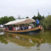 Valencia Bus Turistic • 48 horas + Albufera Bus Turistic - Imagen 2
