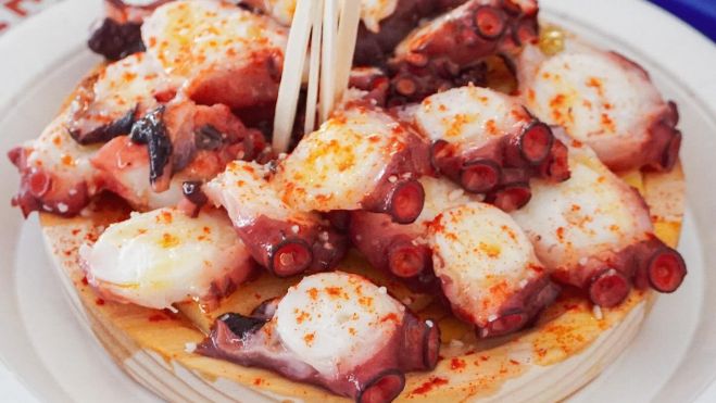 pulpo-gallego-de-marisgalicia_2025-valencia