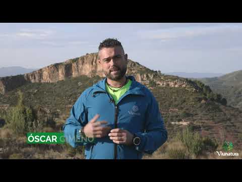 Descubre la belleza natural de La Vall d'Uixó en Castellón